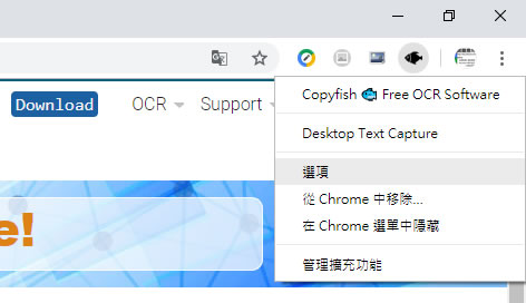 Copyfish 輕鬆翻譯網頁與圖片上的文字 - Chrome 瀏覽器擴充功能