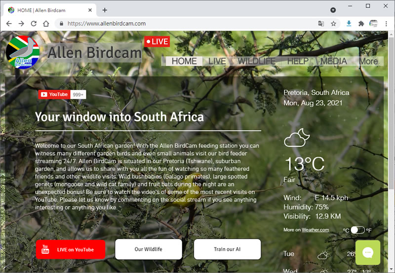 Allen Birdcam 一個在南非全天候直播鳥類餵食站內各種鳥類活動及鳥叫聲的網站