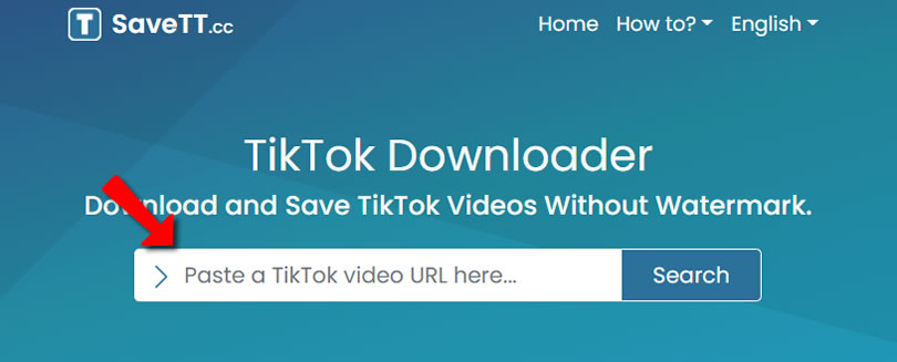 快來用 TikTok Downloader 下載無 TikTok 浮水印的影片