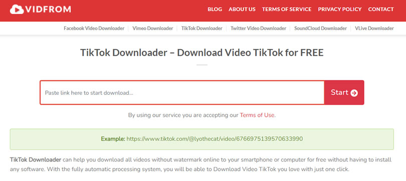 VIDFROM TikTok Downloader 抖音影片線上下載器