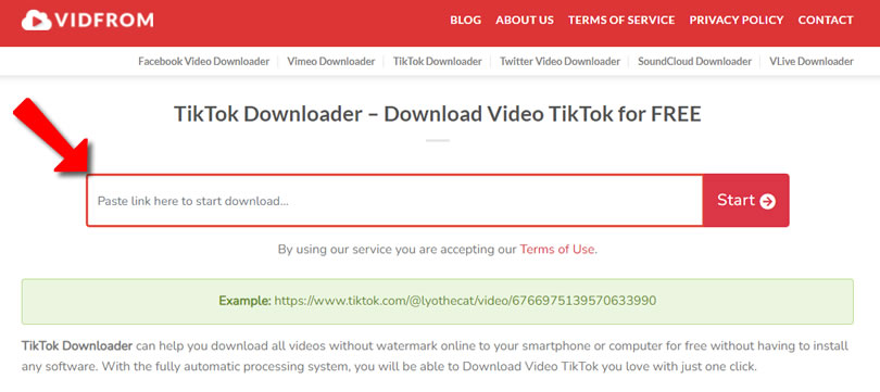 VIDFROM TikTok Downloader 抖音影片線上下載器