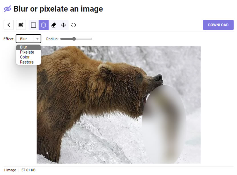 Blur or pixelate an image 可自由圈選圖片要遮蔽位置的免費服務