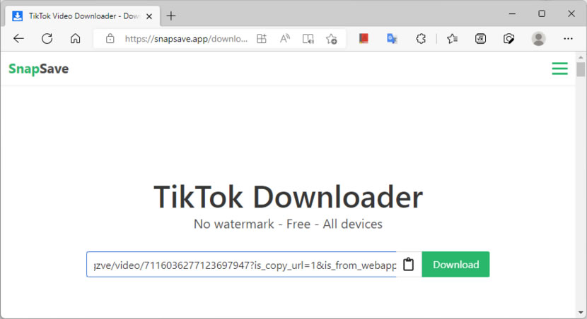 SnapSave 可用來下載 TikTok 無浮水印影片的免費服務