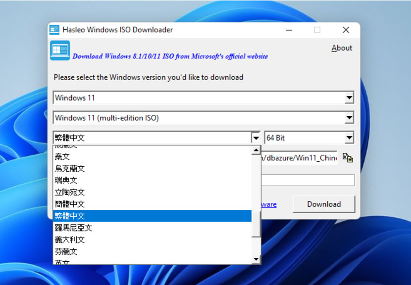 Hasleo Windows ISO 快速下載 Windows 11/10/8.1 ISO 檔的免費工具