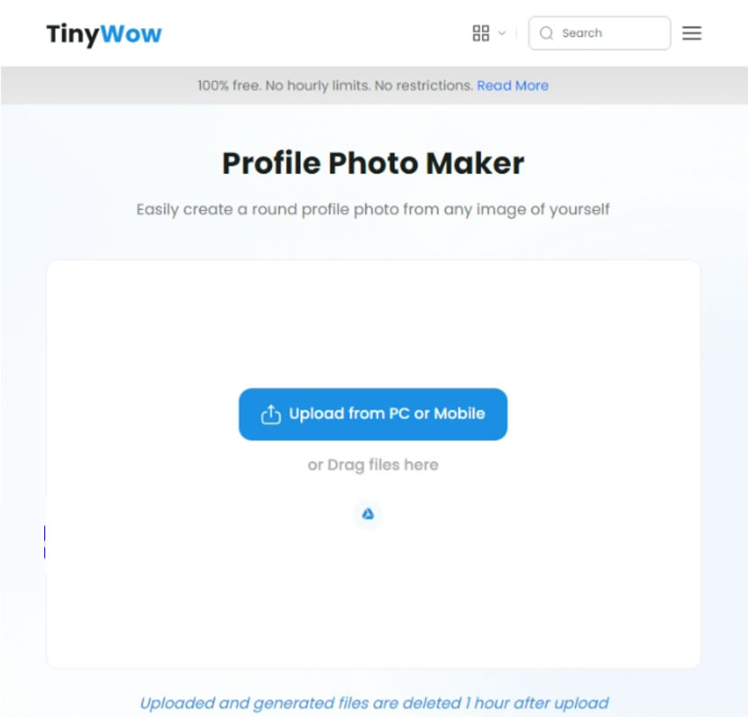 TinyWow Profile Photo Maker 可自動換背景的圓形圖片產生器
