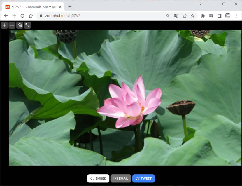 ZoomHub 線上免費圖片分享空間 可內嵌到其它網頁