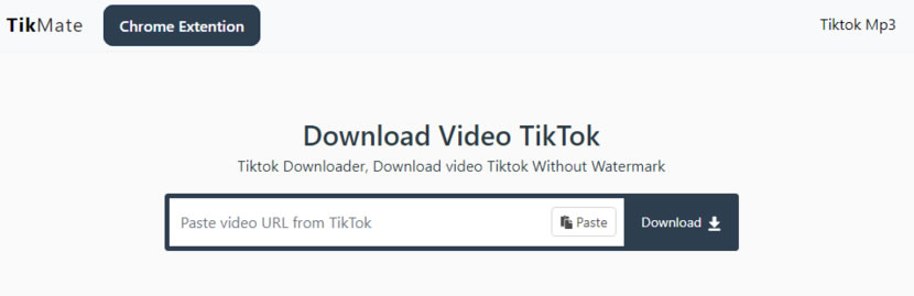 TikMate 免費 Tiktok 影片下載器，輸入影片網址下載無 Tiktok 浮水印影片或 MP3
