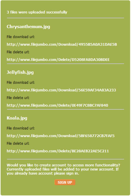 FileJumbo 免註冊、無流量限制、可多檔案同時上傳的檔案分享服務