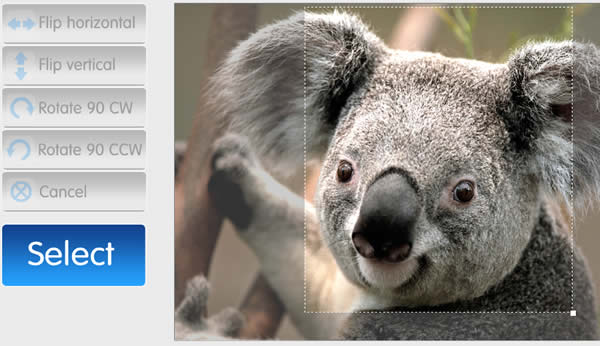PicHacker 線上相片合成、特效及文字免費服務