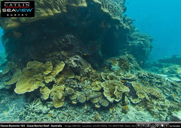 「澳洲大堡礁」水下 360度全景視野
